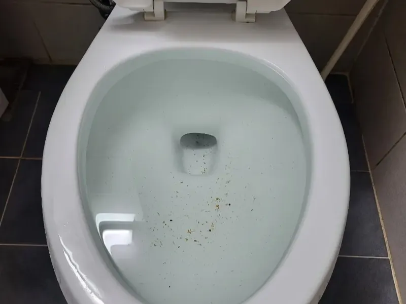 포항 북구 변기막힘 작업사례 4