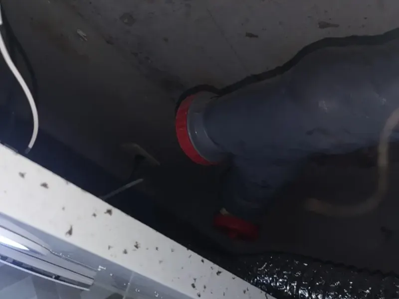 포항 북구 하수구 냄새 원인과 집에서 먼저 할 일